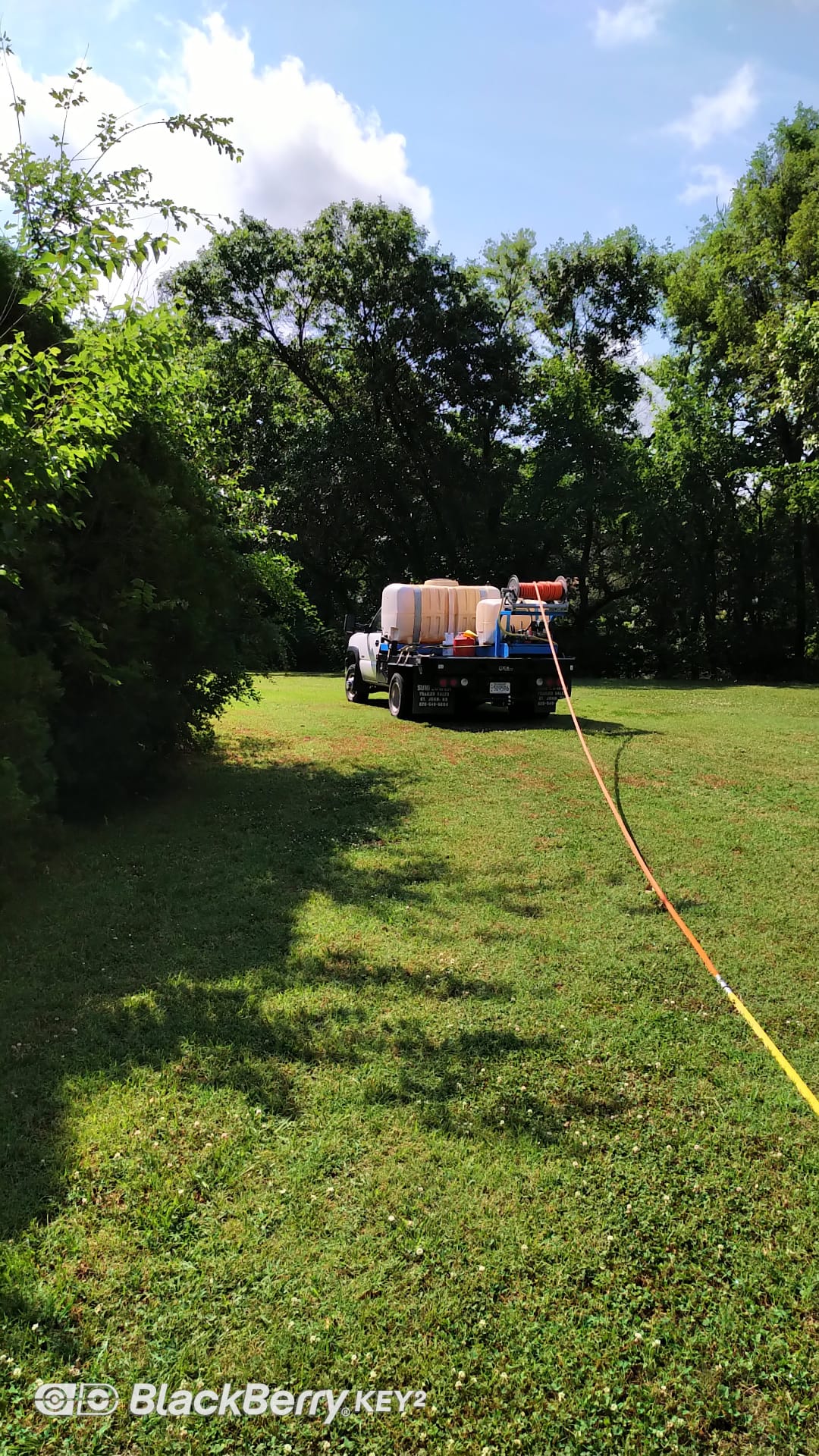 Spray fertilizing trees